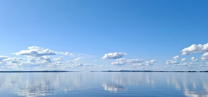 Pielisen pintaa 6.7.2025. Kuva: Jere Laine / Pohjois-Karjalan ELY-keskus