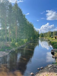 Vedenkorkeus matalalla Iiksenjoessa helteisen heinäkuun jälkeen. Kuva: Sanna Ruuska / Pohjois-Karjalan ELY-keskus.
