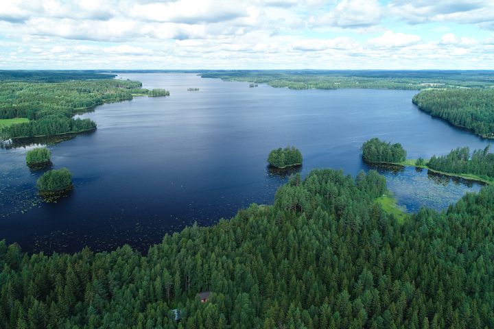 Kuva: Mikko Pyykönen / Pohjois-Karjalan ELY-keskus