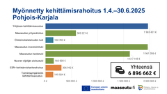 ELY-keskuksen Pohjois-Karjalaan myöntämä kehittämisrahoitus 1.4. - 30.6.2025. Grafiikka: Ilkka Elo / Pohjois-Karjalan ELY-keskus.