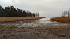 Vesi oli matalalla Honkaniemen uimarannalla Joensuussa 9.11.2025. Kuva: Ilkka Elo / Pohjois-Karjalan ELY-keskus.