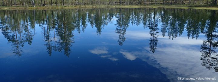 Lammen heijastuksia, Kuusamo.