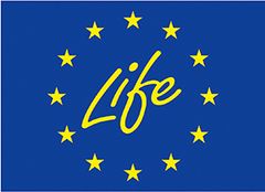 Life-logo.