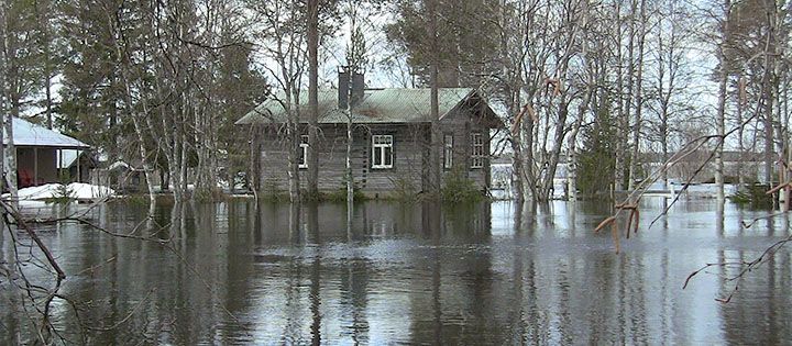 Harmaa hirsimökki metsikössä tulvaveden saartamana.