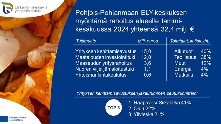 ELY-keskuksen rahoitus alkuvuonna 2024 Pohjois-Pohjanmaan yrityksille
