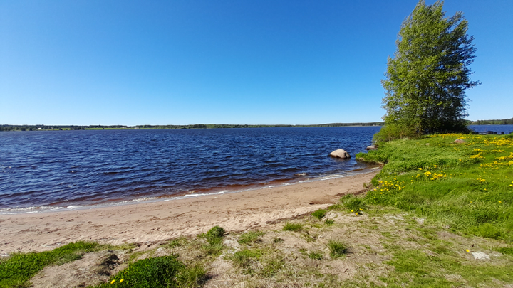Järvenranta aurinkoisena päivänä.