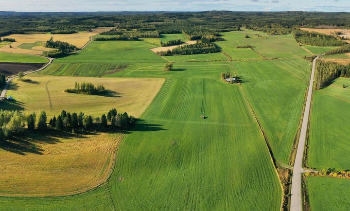 Ilmakuva Pohjois-Savon peltoalueelta