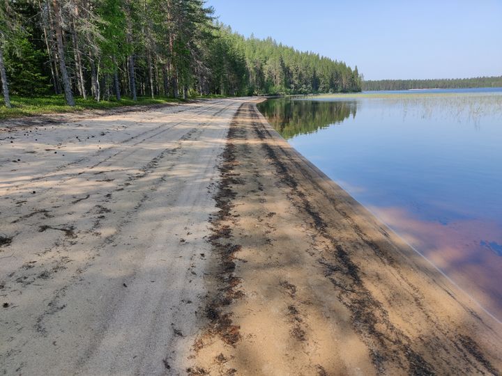 Hiekkarantojen uhkana ovat erityisesti ihmistoiminnasta johtuva umpeenkasvu, rantarakentaminen ja ylikulutus.