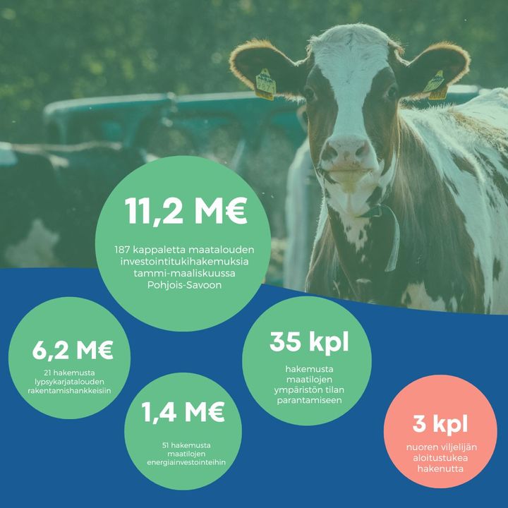 Infograafi tiedotteessa olevista luvuista. Maatalouden investointitukihakemuksien määrä Pohjois-Savon ELY-keskuksessa kahden ensimmäisen hakujakson aikana tammi-maaliskuussa.