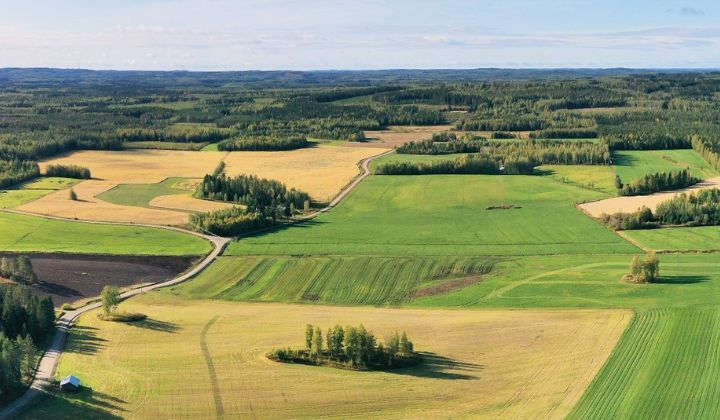 Kuvassa peltomaisemaa Pohjois-Savosta. Kuva: Kimmo Haapanen, Pohjois-Savon ELY-keskus