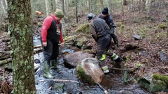 Kuvassa on metsäinen puro, jossa kaksi henkilöä seisoo matalassa vedessä ja yksi henkilö on puron penkalla. He siirtävät yhdessä valtavaa, sammaleista kiveä uomaan apunaan kanki ja lapio. Uomassa seisova henkilö osoittaa kädellään, mihin kohtaan kivi tulisi sijoittaa. Taustalla oranssiin takkiin pukeutunut henkilö kerää maastosta kiviä palautettavaksi puroon (vaikka hänen toimintansa ei kuvassa tarkasti erotukaan). Ympärillä näkyy havupuiden runkoja, kosteaa sammalta ja tummaa metsämaata. Vesi virtaa matalana kivien välissä, ja tunnelma on syksyinen ja hieman hämärä. Työskentely vaikuttaa keskittyneeltä, ja kiven siirtäminen näyttää vaativan yhteistä ponnistelua. Kuva on osa puron ennallistamistöiden dokumentointia.