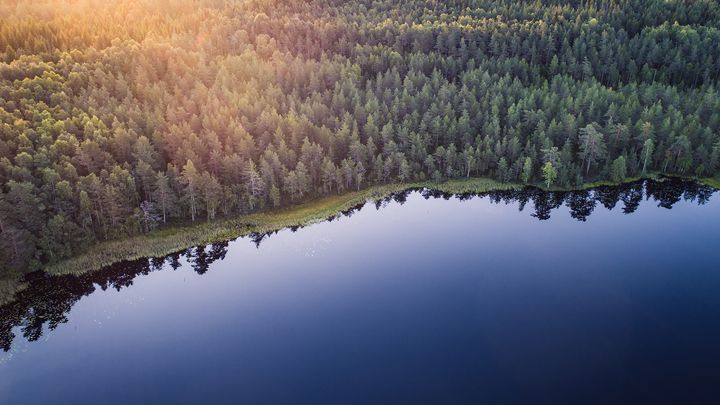 Kuvituskuva Kuva: maaseutuverkosto