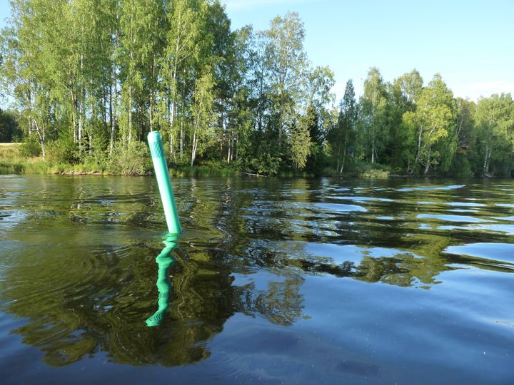 Keväinen järvikuvituskuva.