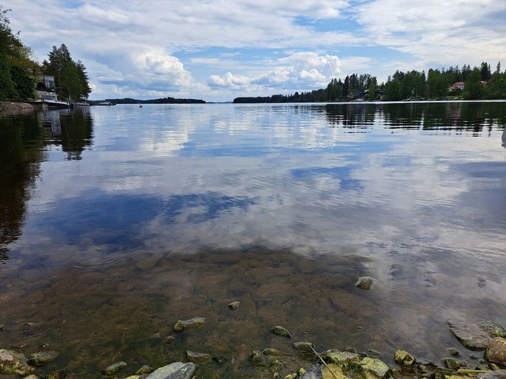 Paikoitellen järvien rannoilla näkyy siitepölyä. Kuva: Petri Nieminen