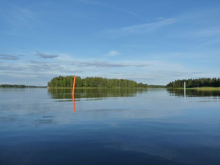 kesäinen järvimaisema