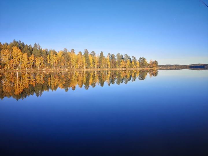 Tyyni ruskainen järvenselkä