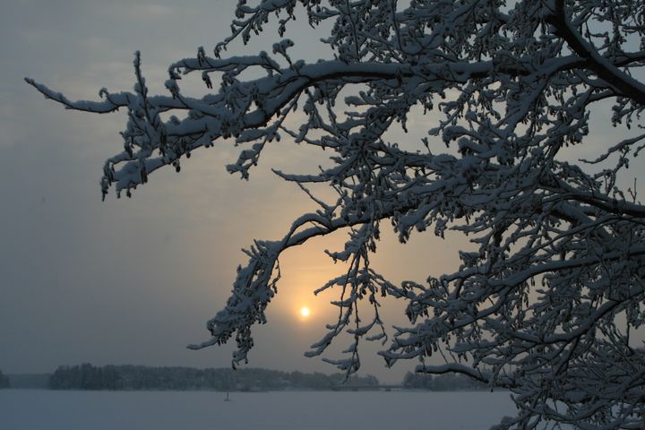 talvinen järvi
