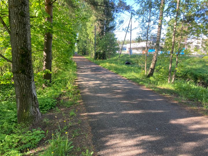 Kuva jalankulku- ja pyöräilyväylästä.
