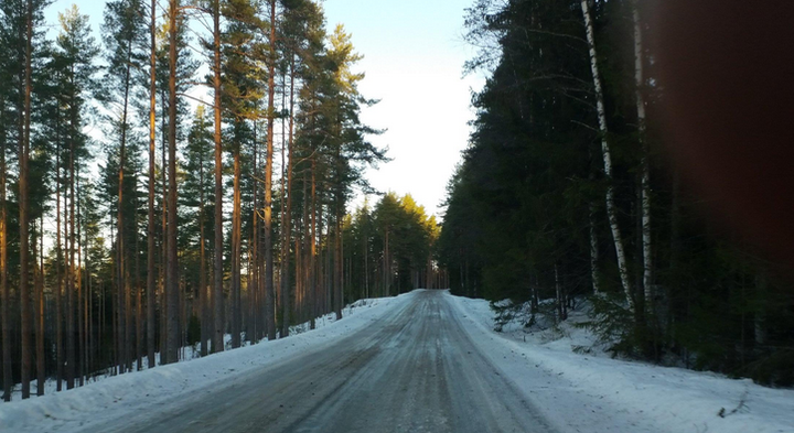 Kuva metsätiestä, jolla on jäätä ja sohjoa.