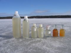 Kuvassa näytepullot jäällä.