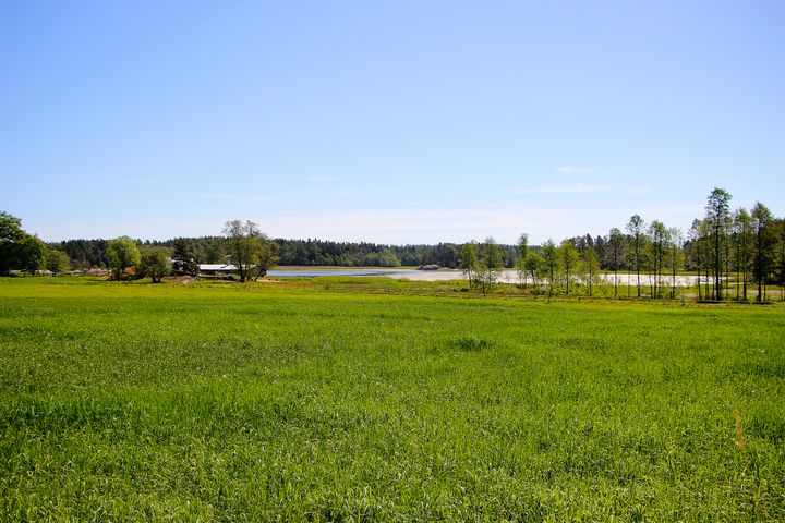 Maisema.