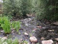 Forsen vid friluftsbadet i Vichtis å i Haimoo efter restaureringen sommaren 2022.