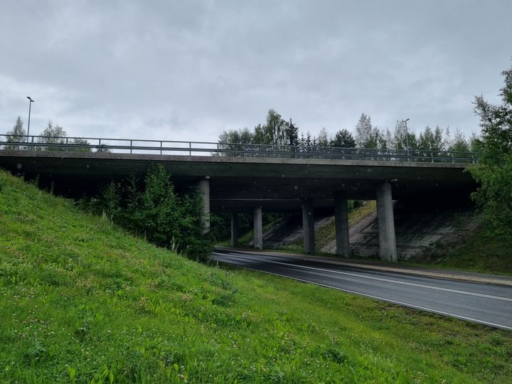 Risteyssilta: Nurmikkoa, ylikulkusilta pilvisellä säällä.