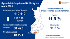 Sysselsättningsöversikt för Nyland 03/2025