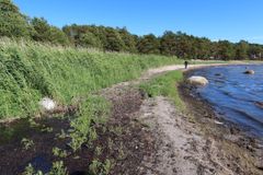 Bild från stranden.