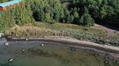 Stort vassområde vid Gåsörsbukten från luften före åtgärder.