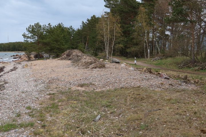 Kuva%20rannalta.