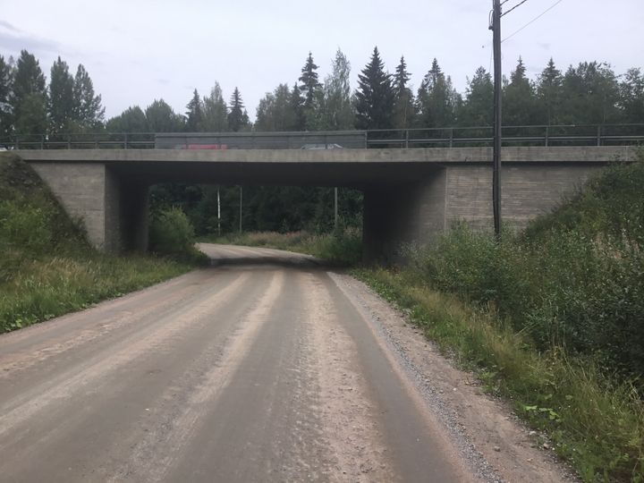Maantie kulkee betonisen risteyssillan ali, ympärillä metsää.