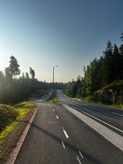Alt-teksti: Uusi jalankulku- ja pyörätie kulkee metsän läpi aurinkoisena päivänä.