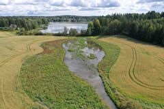 Kuvassa on kosteikko.