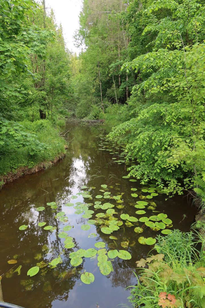 Kuvassa%20on%20joki.