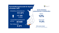 Sysselsättningsöversikt för Nyland 11/2025