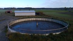 Lieteallas lähikuvassa.