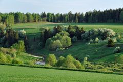 Maisemakuva joenvarresta.