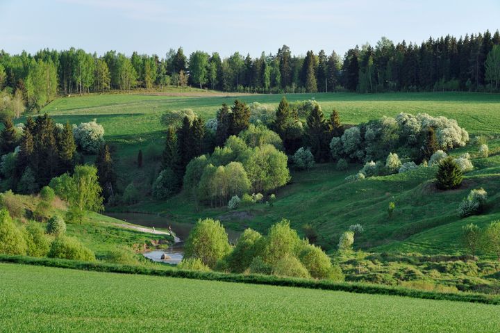 Maisemakuva joenvarresta.