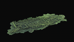 Stillkuva 3D-mallista.