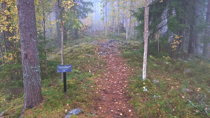 Kuopion Keskisaaressa sijaitseva valtakunnallisesti merkittävä arkeologinen kohde (VARK). Kuva: Olli Soininen, Museovirasto