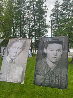 Tuntematon Lotta -puutarhanäyttely Lottamuseolla