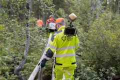 Lantmätare i terrängen i Kalevalaparken, Suomussalmi