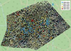 Annual increase in the number of spruce bark beetle-killed trees in Paloheinä, Helsinki