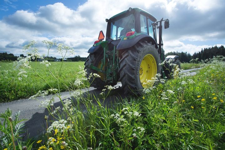 Traktori kulkee kahden pellon välisellä tiellä.