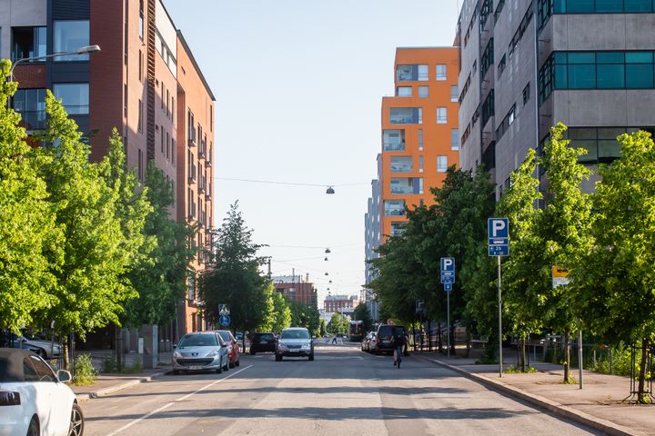 Kuva: Riku Nikkilä