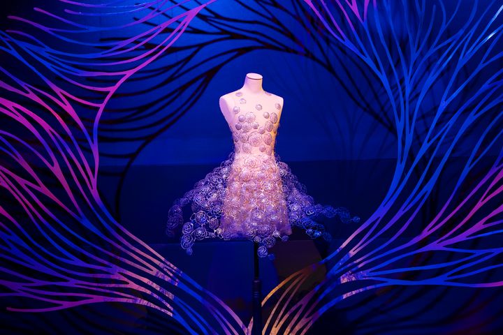 Iris van Herpen, Aeriform look 17. Photo: Heli Sorjonen / The National Museum of Finland