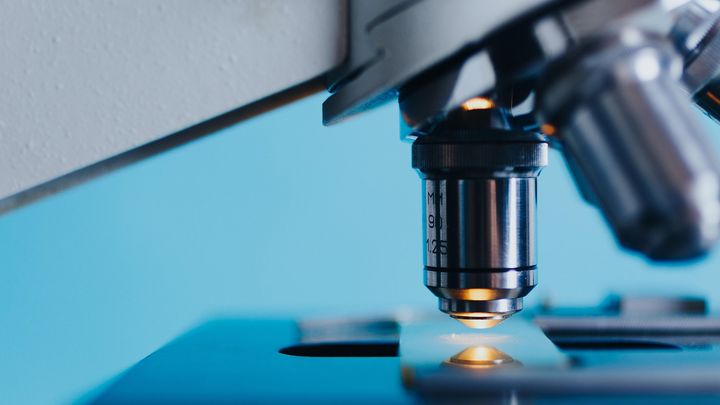 Mikroskoopin linssi tarkentuu näytteeseen.