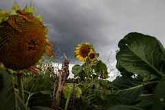 Kuva: Touko Hujanen, teoksesta Maa, jonka jätämme