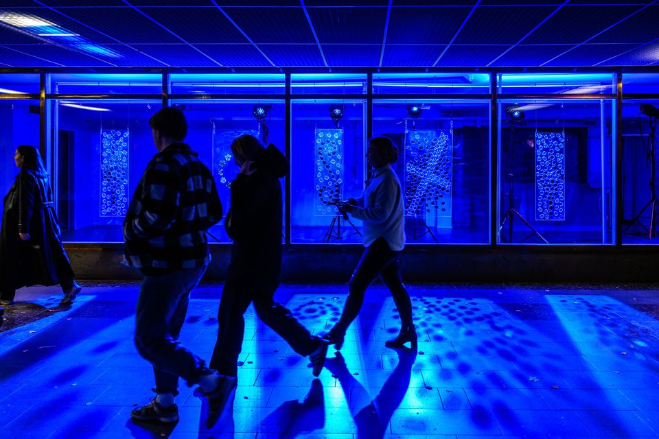 Celeritas, an artwork by Jussi Kamunen, photographed at the 2024 Window Walkabout event. Photo by Mikko Vares.